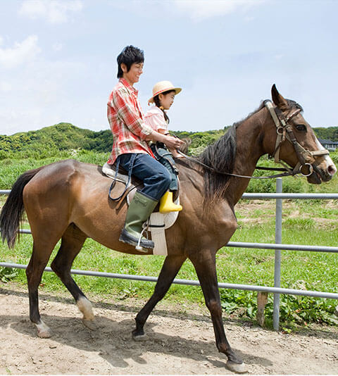 Mizunara - Horse riding experience